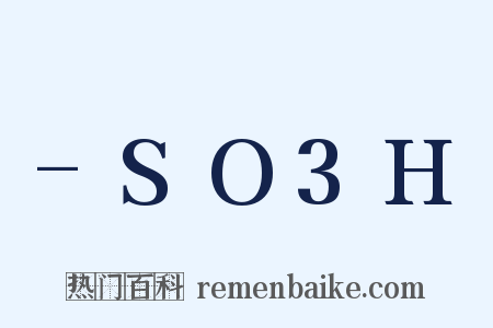 -SO3H是什么意思的图片